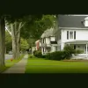 Alpha Pro Painting