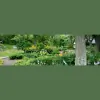 Total Green Landscaping