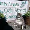 Oak Street Garden Shop