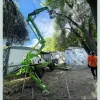 Forest Management
