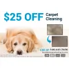 Houston Carpet Cleaning TX