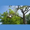 Bark River Tree Service