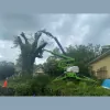 Extreme Tree