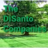The DiSanto Companies
