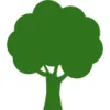 Bill McCabe Tree Service