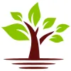 JC Landscaping & Masonry