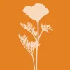 Curtis Horticulture