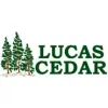 Lucas Cedar