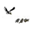 Eagle Eye Pest