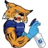 Wildcat Clean Team
