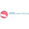 Carpet Cleaners Houston
