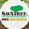 Nye's Tree Service