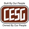 Critical Electric Systems Group