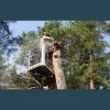 Tried & True Tree Care