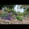 Paramount Landscape & Irrigation
