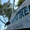 Cantu Tree Trimming Services
