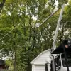 Cayuga Tree Service