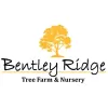 Bentley Ridge Tree Farm