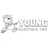 Young Electric Inc