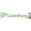 New Garden Plants