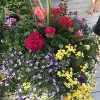 Oakbridge Greenhouse