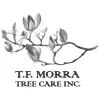 TF Morra Tree Care