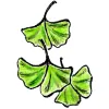 J.M.B. Greengardens