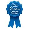 Blue Ribbon Cleaning Services