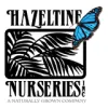 Hazeltine Nurseries