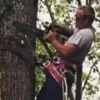Mark Tuttle Tree Service