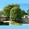 C & C Bush & Tree Trimming