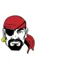 Pirate Roofing