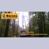 Barnes Tree Service