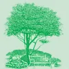 Green Way Landscaping