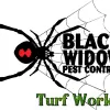 Black Widow Pest Control