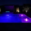 Backyard Specialties