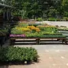 Frank A. Smith Nurseries
