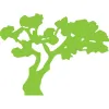 Botanical Designs