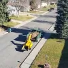 Larned Tree Service