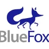 Blue Fox Outdoor Living