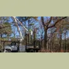 Zamora Tree Service
