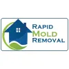 Rapid Mold Removal
