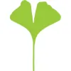 Biloba Architecture
