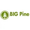 Big Pine Construction