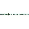 Shamrock Tree