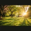 Safari Lawn Care