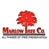 Marlow Tree
