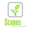 Scapes
