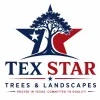 Tex-Star Trees & Landscapes
