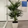 Paradise Plantscapes